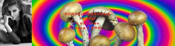 марки nbome Краснослободск