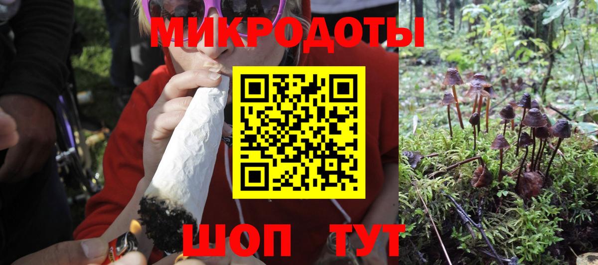 Галлюциногенные грибы мухоморы  Вход с VPN  Керчь 