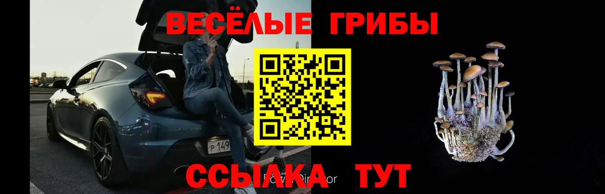 Галлюциногенные грибы Psilocybe Керчь