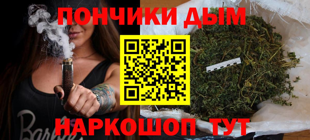 Бошки марихуана семена  Вход с VPN  Канабис планчик  Бошки Шишки Bruce Banner  Керчь  Каннабис индика 
